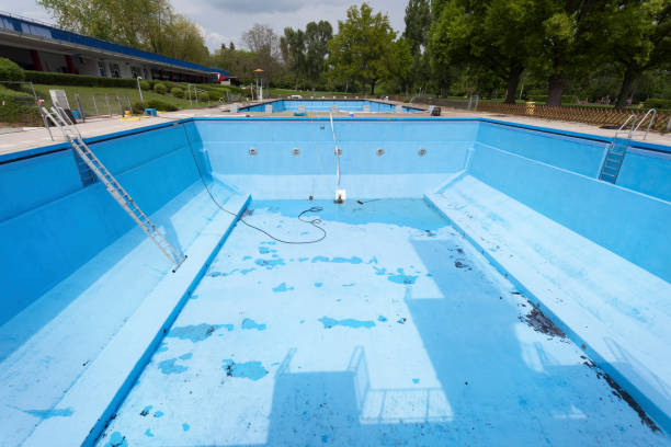 Best Professional water damage repair  in Woodland Park, NE