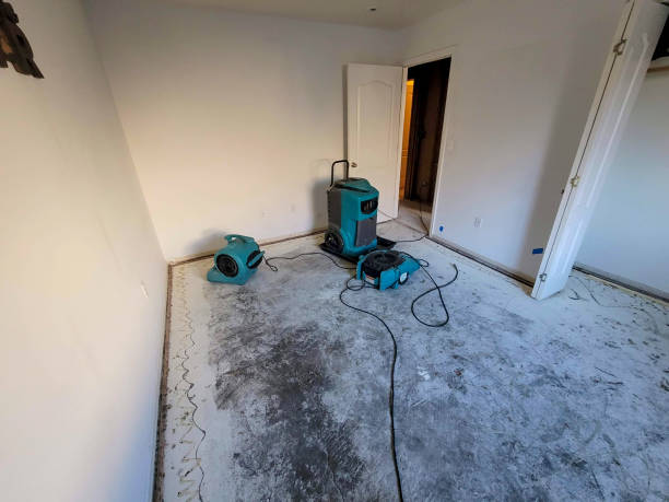 Best Commercial water damage restoration  in Woodland Park, NE