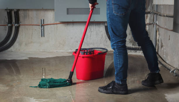 Best 24/7 water damage repair  in Woodland Park, NE