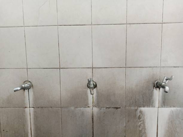 Best Water damage restoration cost  in Woodland Park, NE