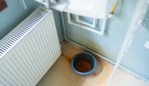 Best Carpet water damage restoration  in Woodland Park, NE