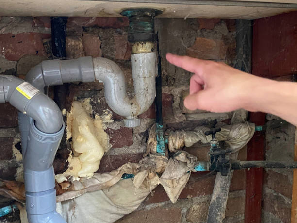 Best Water damage restoration services  in Woodland Park, NE