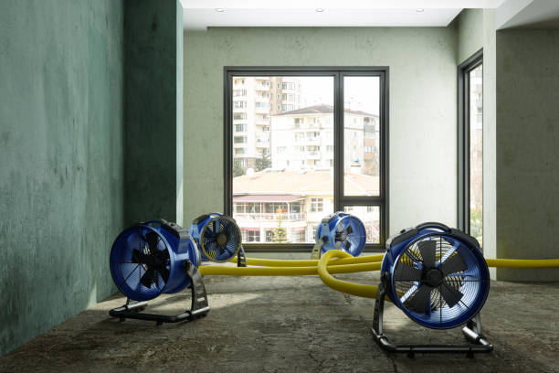 Best Professional water damage repair  in Woodland Park, NE