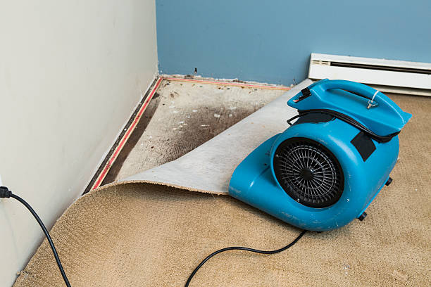 Best Flooded house restoration  in Woodland Park, NE